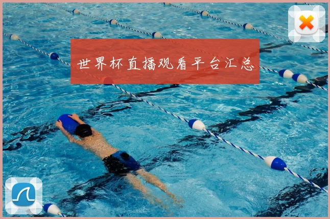 世界杯直播观看平台汇总