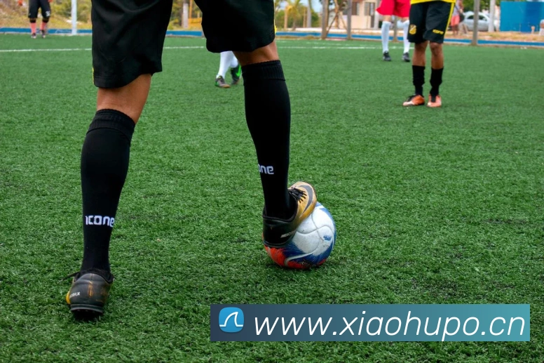 mksports在线登录入口APP 封面图